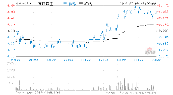 吉林森工(600189) 这个股票怎样？