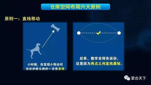 仓储管理有哪些基本原则(虚拟空间管理原则有哪些)