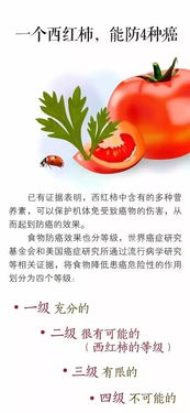 tomato复数怎么写(tomatos与tomatoes区别)