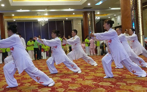 2021年海南省中老年人太极拳公开赛 儋州代表队荣获5金