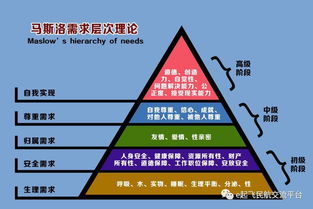 我看航空公司管理体制 