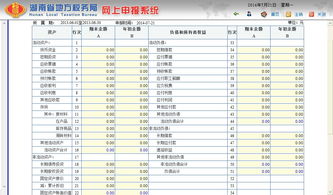 在国税网申报的财务报表资产负债表和利润表如何填写