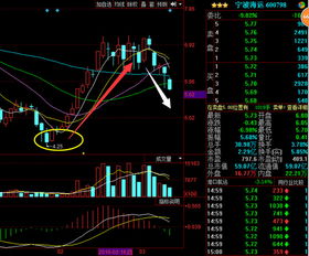 600798宁波海运后期走势如何？如何操作?谢谢大家给点意见啦！