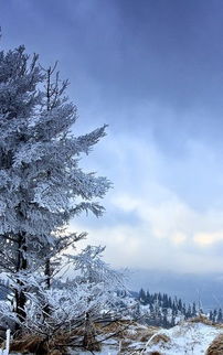 冰天雪地手机美景下载