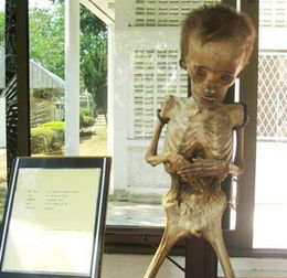 泰国干尸博物馆 泰国干尸博物馆那个女尸是谁（泰国干尸博物馆罪行介绍）