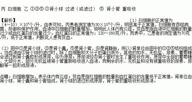 血检可以了解身体健康状况吗？