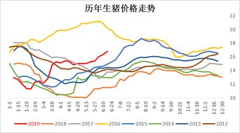 玉米属于期货里的什么板块？