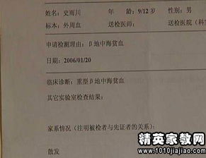 整改例会工作汇报范文大全,单位整改落实情况怎么填？