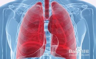 抗氧化治疗可以帮助肺病患者