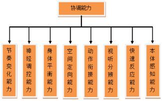 运动协调能力对运动员的影响