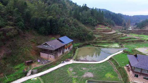 农村只有三户人家的小山村,大山里空气好,交通也方便 