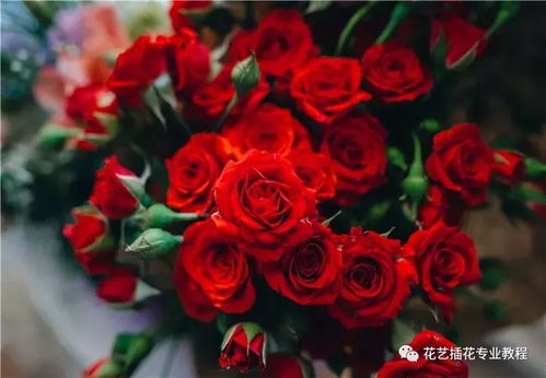给喜欢的人送花,到底该送白玫瑰or红玫瑰还是香槟玫瑰