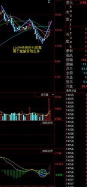 股票120分钟级别什么意思