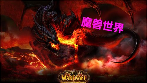 乌龟魔兽世界艾泽拉斯之谜,魔兽世界乌龟服什么意思  第2张