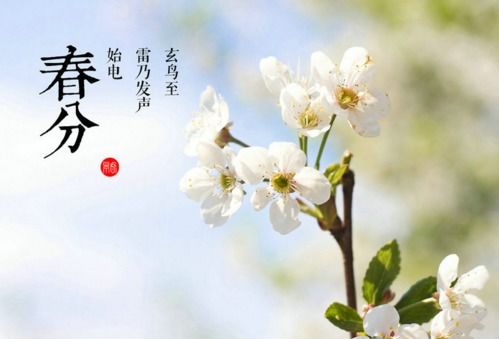 春分节气有多重要,此日的阴晴,在古代认为有这些征兆