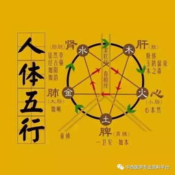 五脏常见虚劳症 阴 阳 气 血 的调理法 收了吧