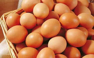 煮熟的鸡蛋还能穿越回生鸡蛋 OMG 