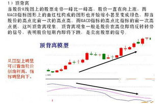 假如挣了30个点平仓，需交费用是多少？