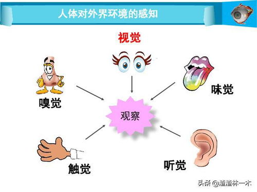 冷知识人体温度(人的体温温度)