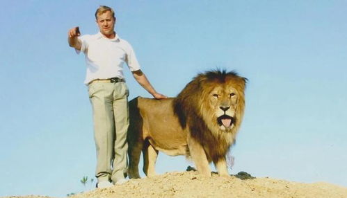 狮子 老虎等凶猛动物是否天生怕人 难道人真是地球的主导者