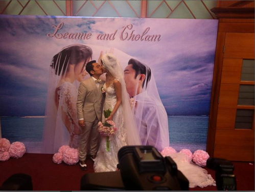王祖蓝和李亚男婚礼结束 接受媒体采访 
