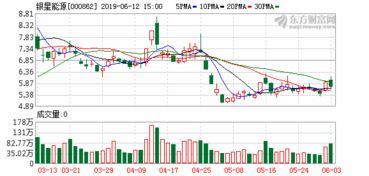 宁夏银星能源股份有限公司