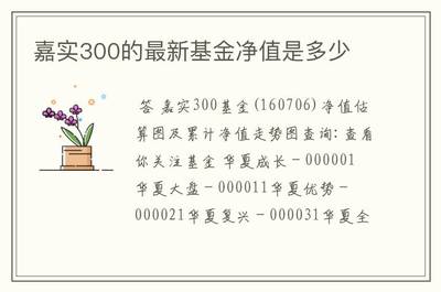 基金嘉实300?