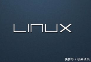 怎么在安装win10加kaliLinux