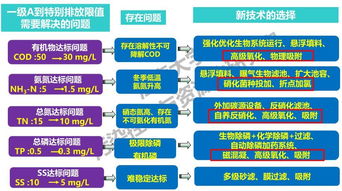 论文的途径和技术路线怎么写