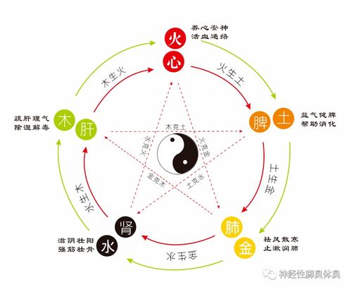 五行属金10画康熙字典寓意好