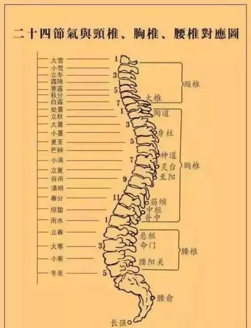 传统武术练功找劲的阶梯