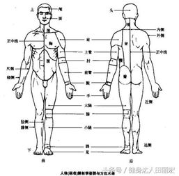 解剖学所有名词解释,解剖名词重点解析