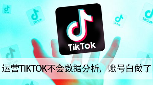 tiktok找网红_TikTok开户(免白名单)