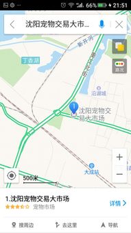 沈阳塔湾宠物市场位置 