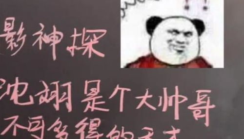 网红字体特点(网红字体是哪种字体)