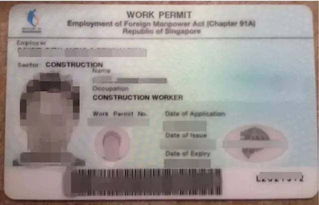雇主为员工申请工作准证谎报工资,新加坡一查到底