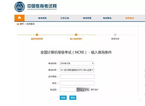 全国计算机忘记准考证号，全国计算机等级考试成绩如何查询