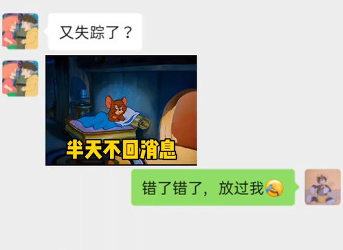 半天不回消息 你对象 猫和老鼠 表情包 搞笑视频 经典段子 