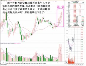 怎么查询自己所持有股票的数额呢?