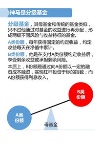 什么是分级基金及其投资技巧折算方案的最易懂的讲解