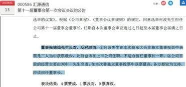 公司“实际控制人”究竟是谁