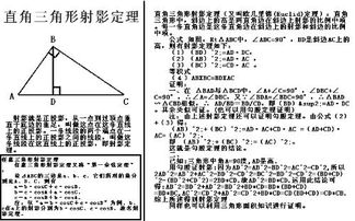 初中三角形的知识点总结