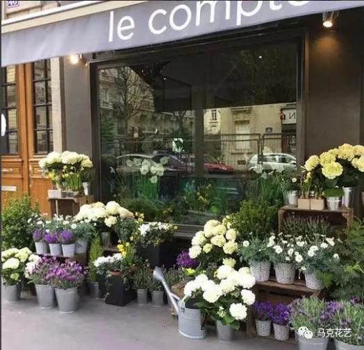 花店图标设计怎么弄好看，开花店，可以做一些什么活动来吸引客户(花店logo设计方案)