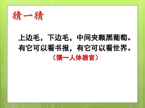 一年级上册体育课件 积极愉快的上好体育课之保护眼睛 人教版 共18张PPT 