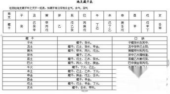 揭秘十二地支藏十天干的原理 