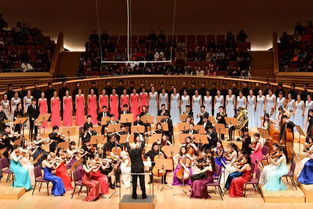 艺考音乐可以考上海哪些大学