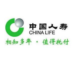 有人给我推荐新华保险吉祥至尊，一年交3070元，20年后可领十几万，不知怎么样?