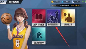 最强nba表妹组合图,最强nba表妹组合图鉴