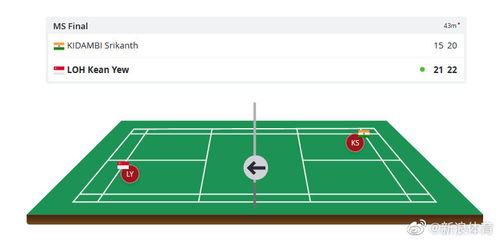 男单羽毛球思路分析表图,羽毛球比赛对阵斜线表怎么看