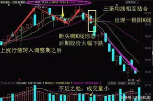 在哪个网站或软件上能看到某支股票的机构和散户的持仓状况？